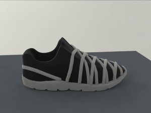 Shoe_1